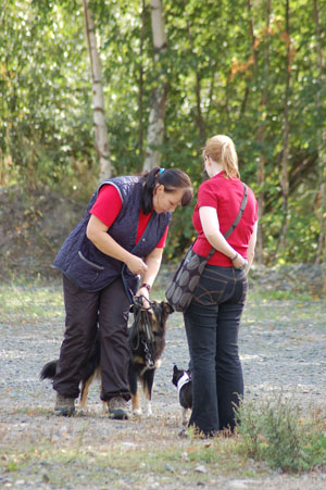 Ruusu pentukurssilla